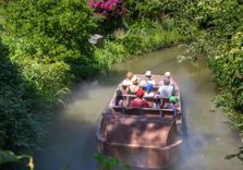 Terra Botanica