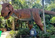 Dinosaur World F...