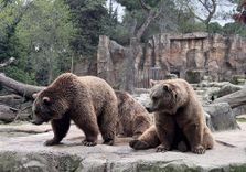 Zoo Aquariu...