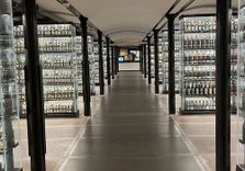 Home of Carlsberg