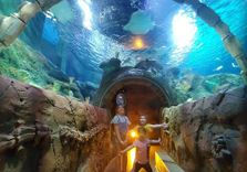 SEA LIFE Kansas ...
