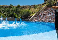 Palmitos Park