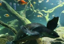 Cologne Zoo & A...