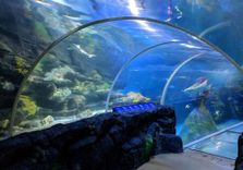 SEA LIFE Birmingham