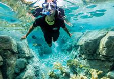 Discovery Cove