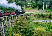 Puffing Billy R...