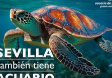 Seville Aquarium