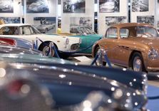 Museo Nicolis