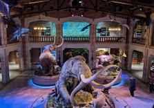Toledo Zoo