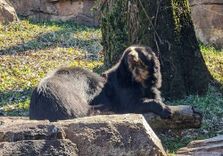 Nashville Zoo at ...