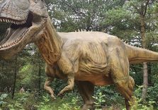 Givskud Zoo - Z...