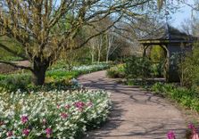 RHS Garden Hyde Hall