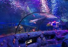 SEA LIFE Malaysia