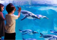 SEA LIFE Konstanz