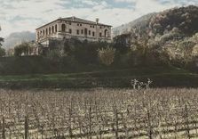 Villa dei Vescovi
