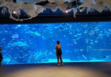 Aquaria Phuket