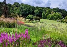 RHS Garden Harlow ...