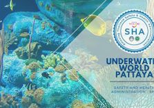 Underwa...