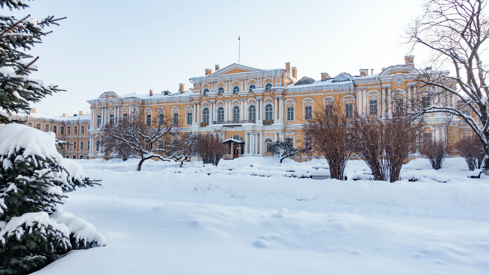 Воронцовский дворец в снегу